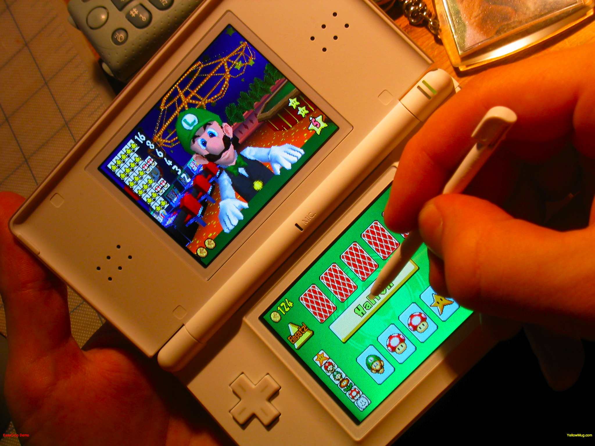 DS.jpg