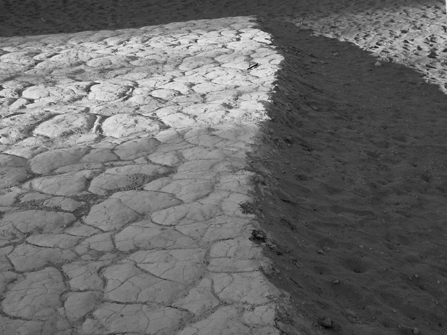 DSC00004 10 copy.JPG