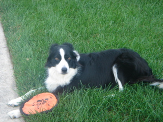 DSC00064.jpg