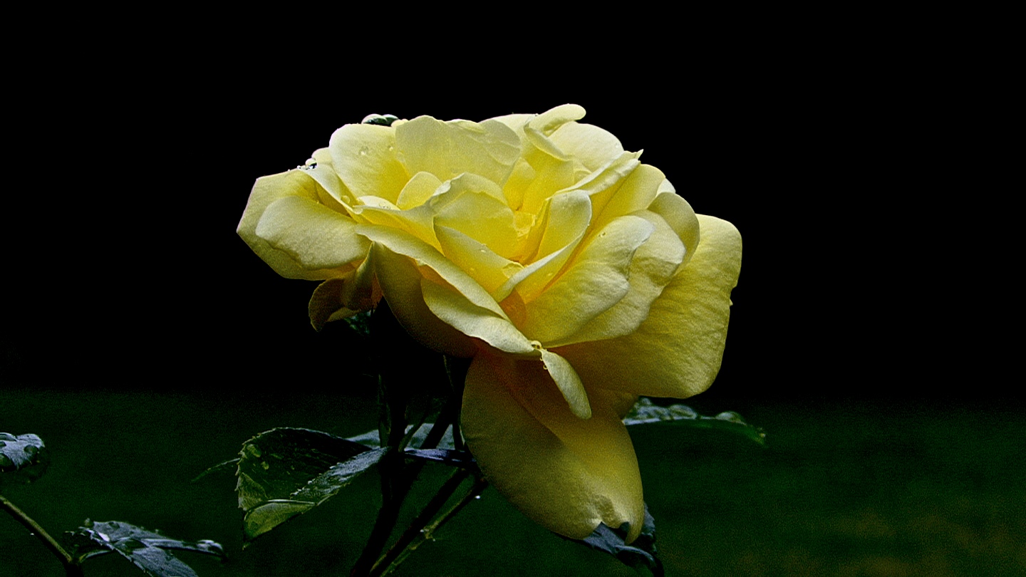 DSC00080 - Version 2.jpg