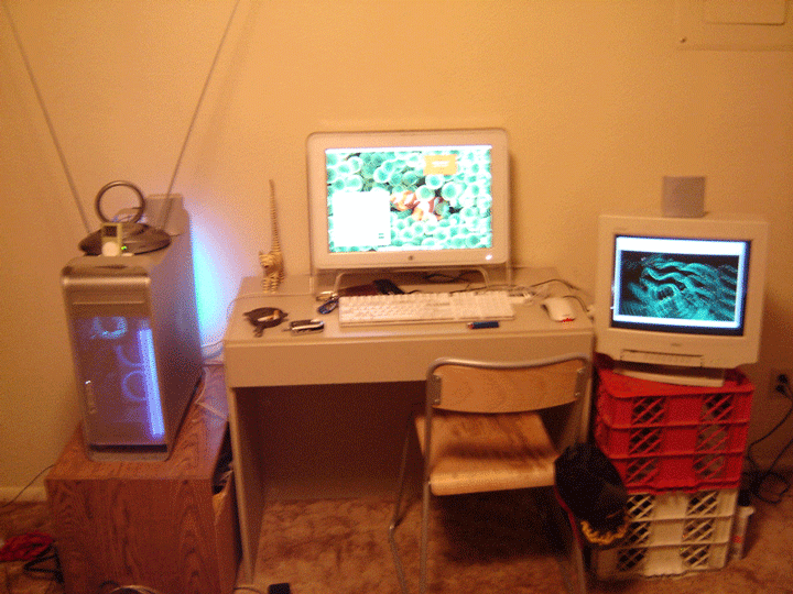 DSC00132.gif