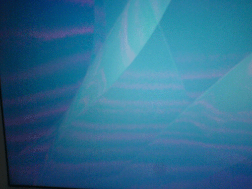 DSC00203.gif
