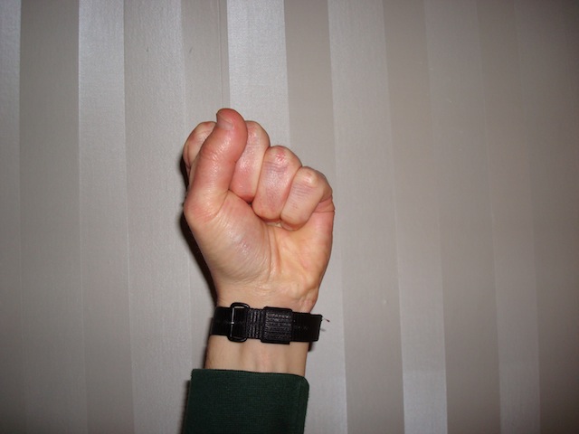 DSC00450.JPG