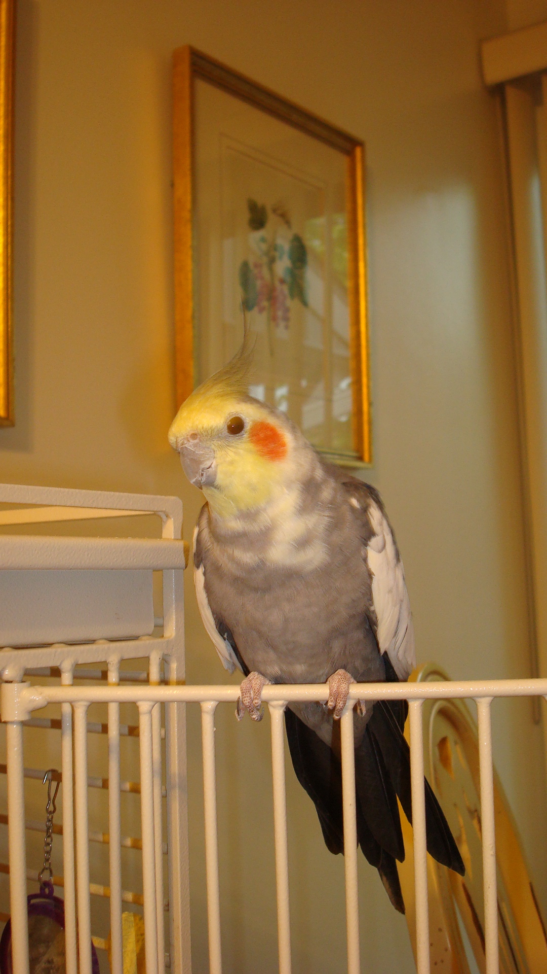 DSC00658.JPG