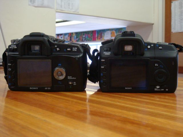 DSC00687.jpg