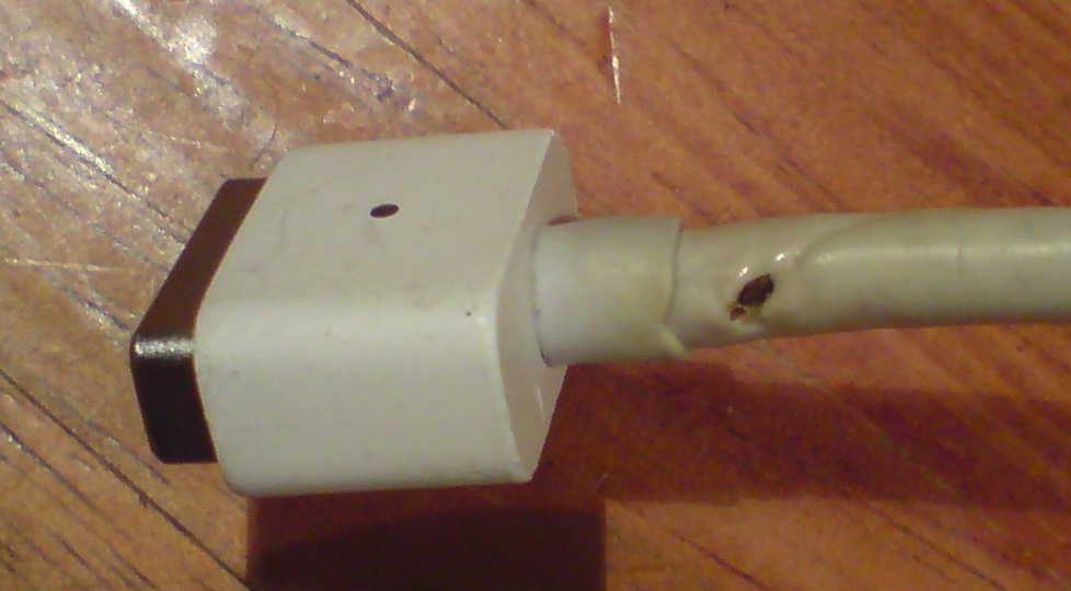 DSC01556.JPG