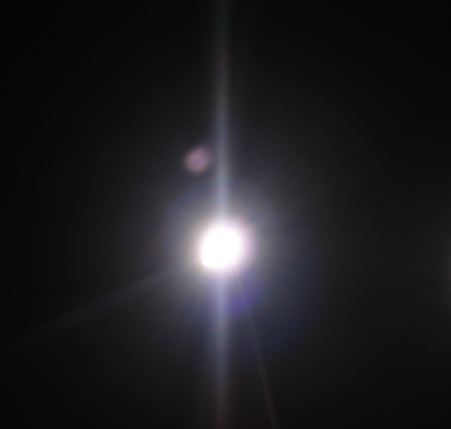 DSC01690.jpg