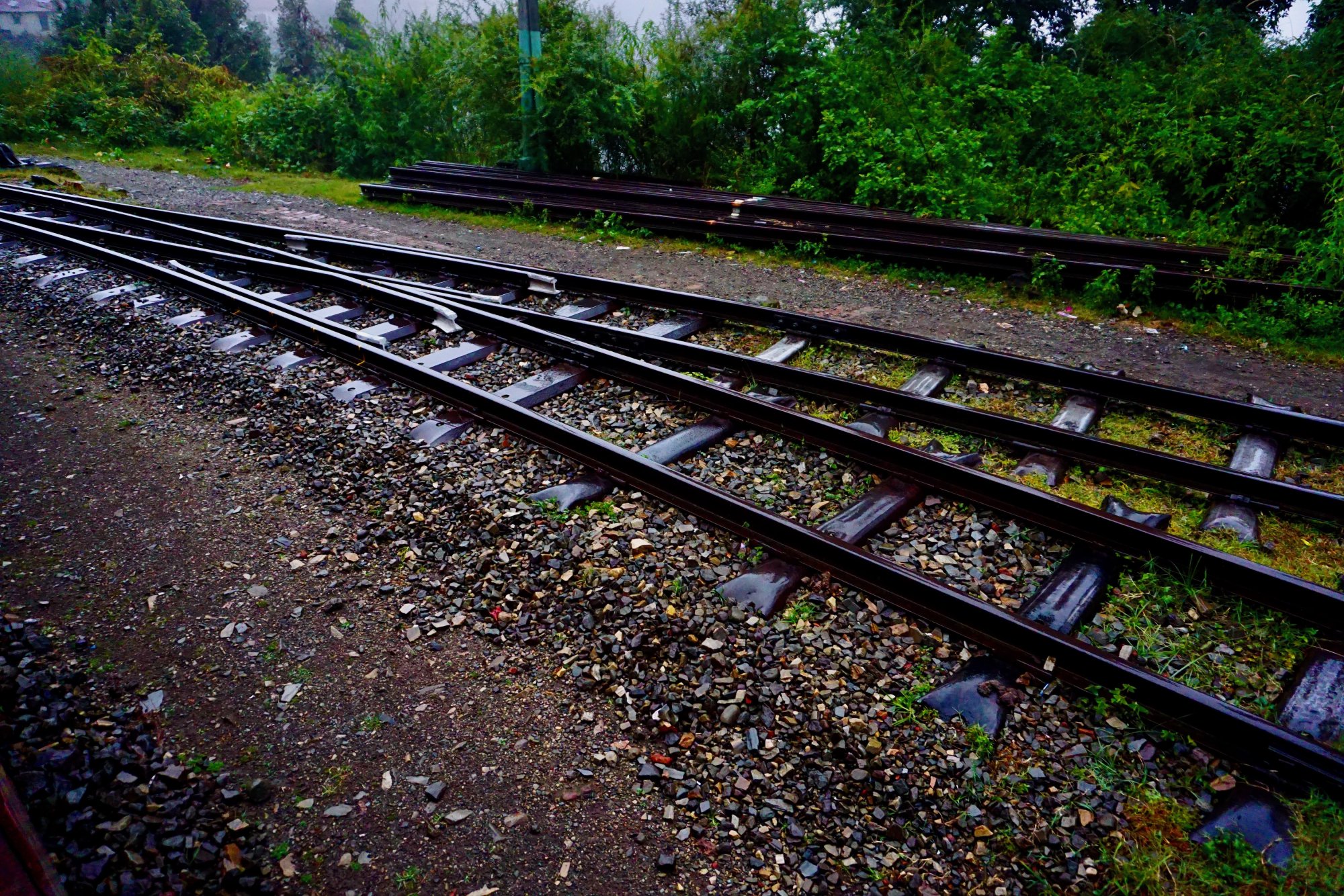 DSC02114.jpeg