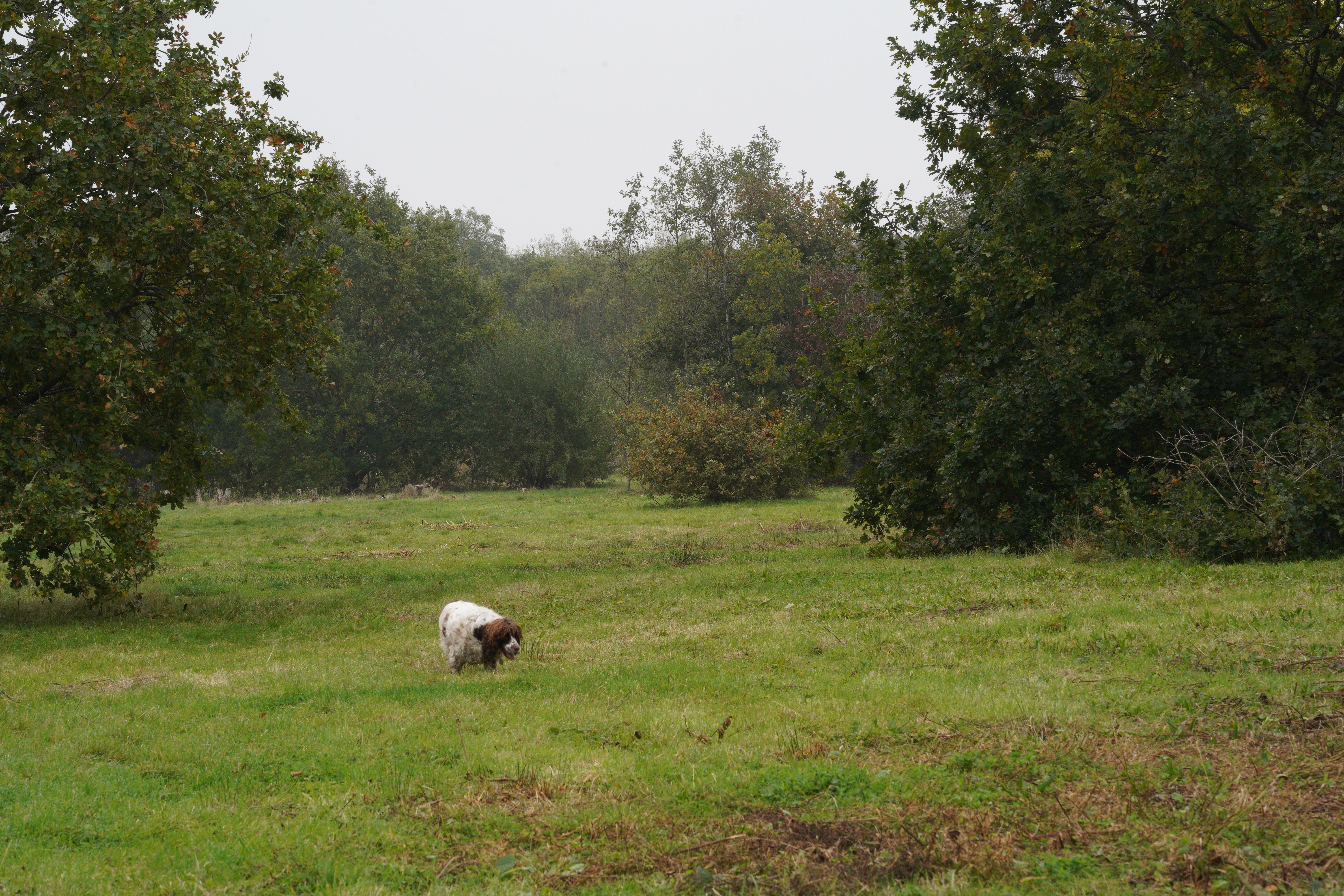 DSC02253.JPG