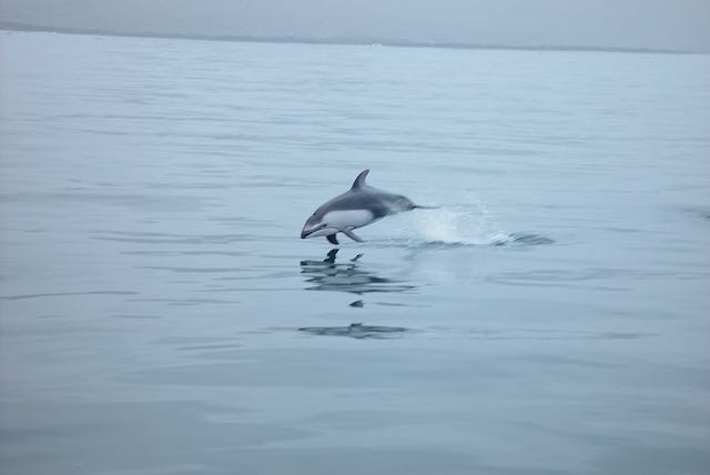 DSC02594_2.jpeg