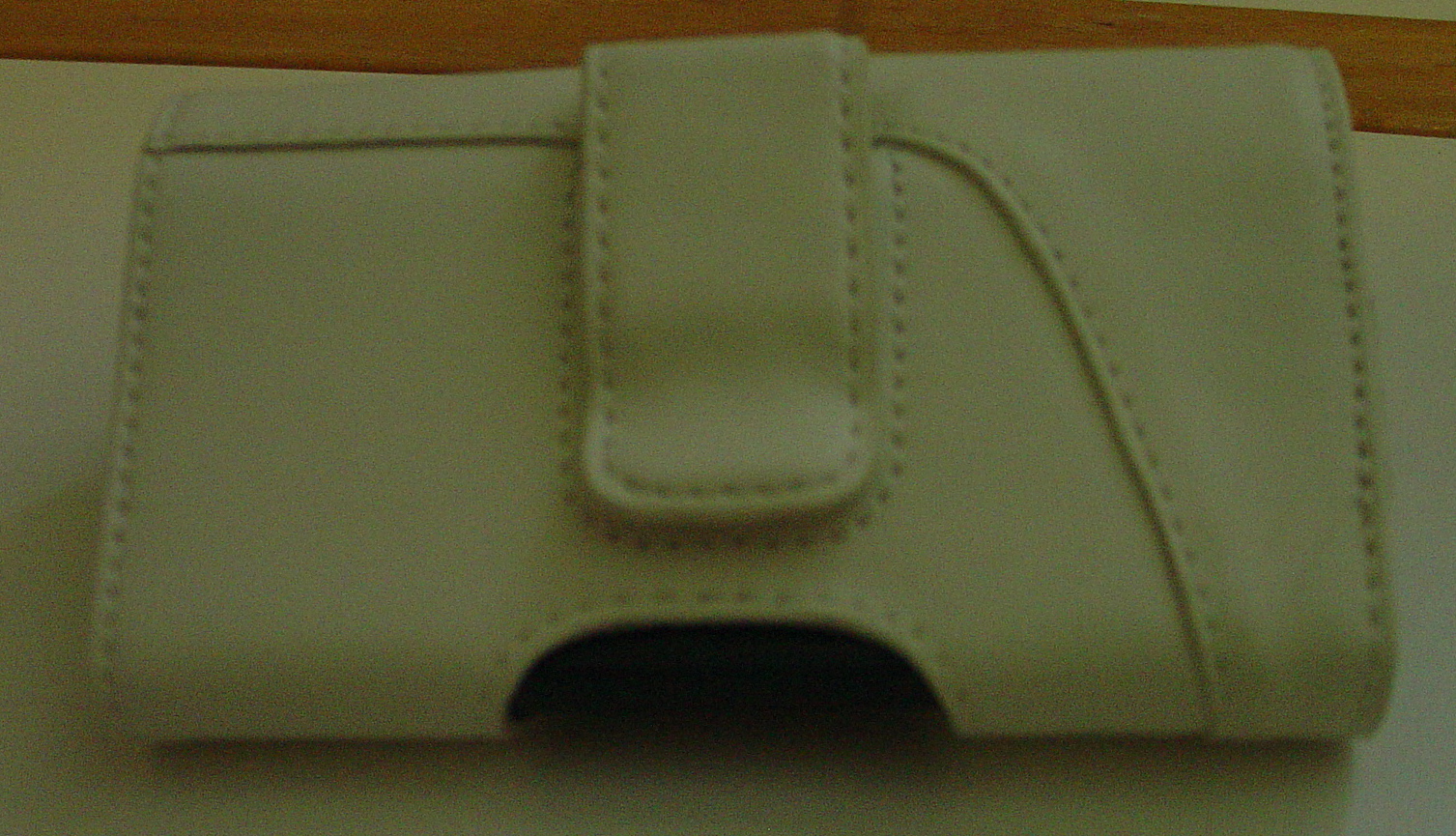 DSC03117_2.JPG