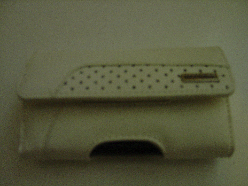 DSC03118.jpg