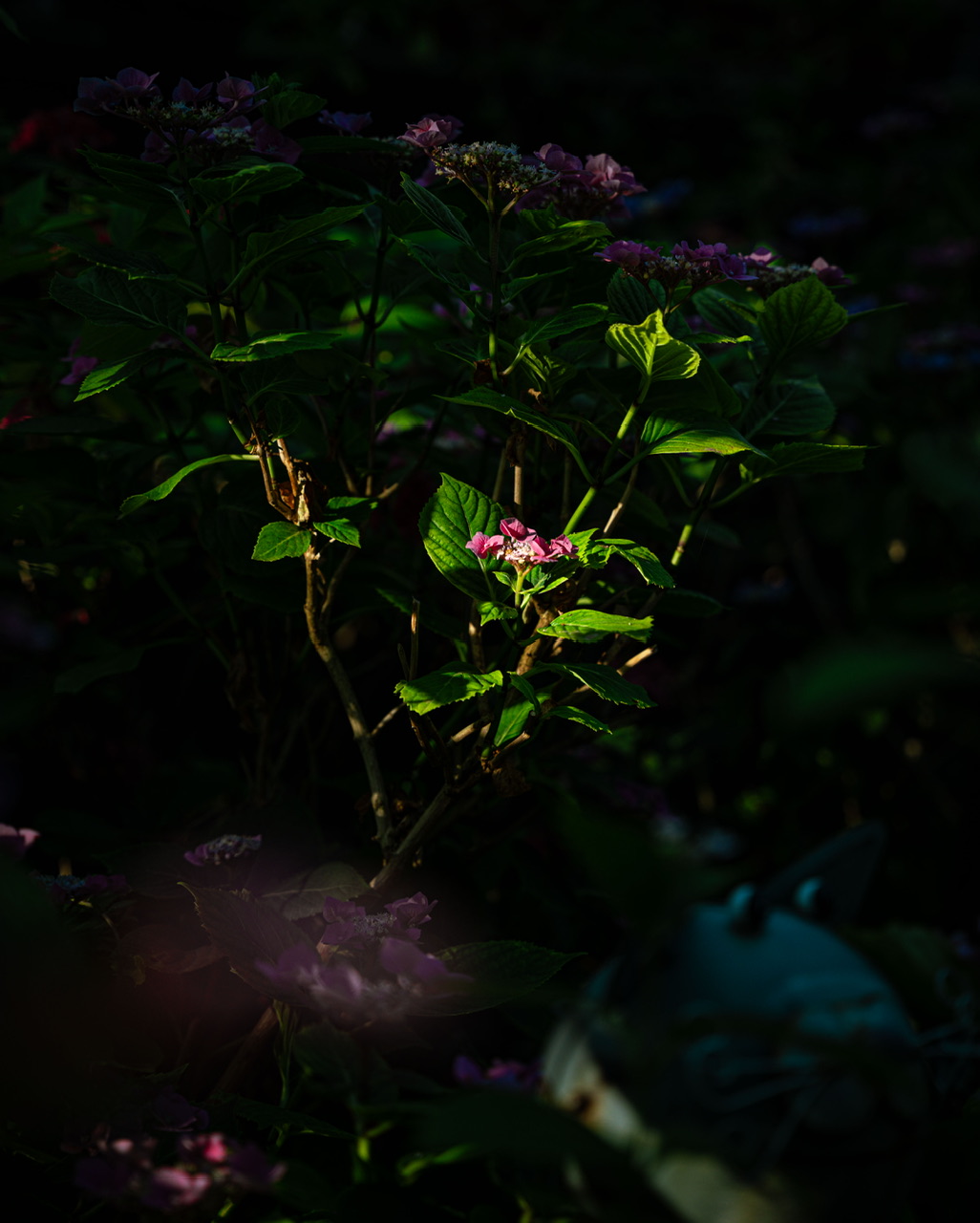 DSC04193.jpeg