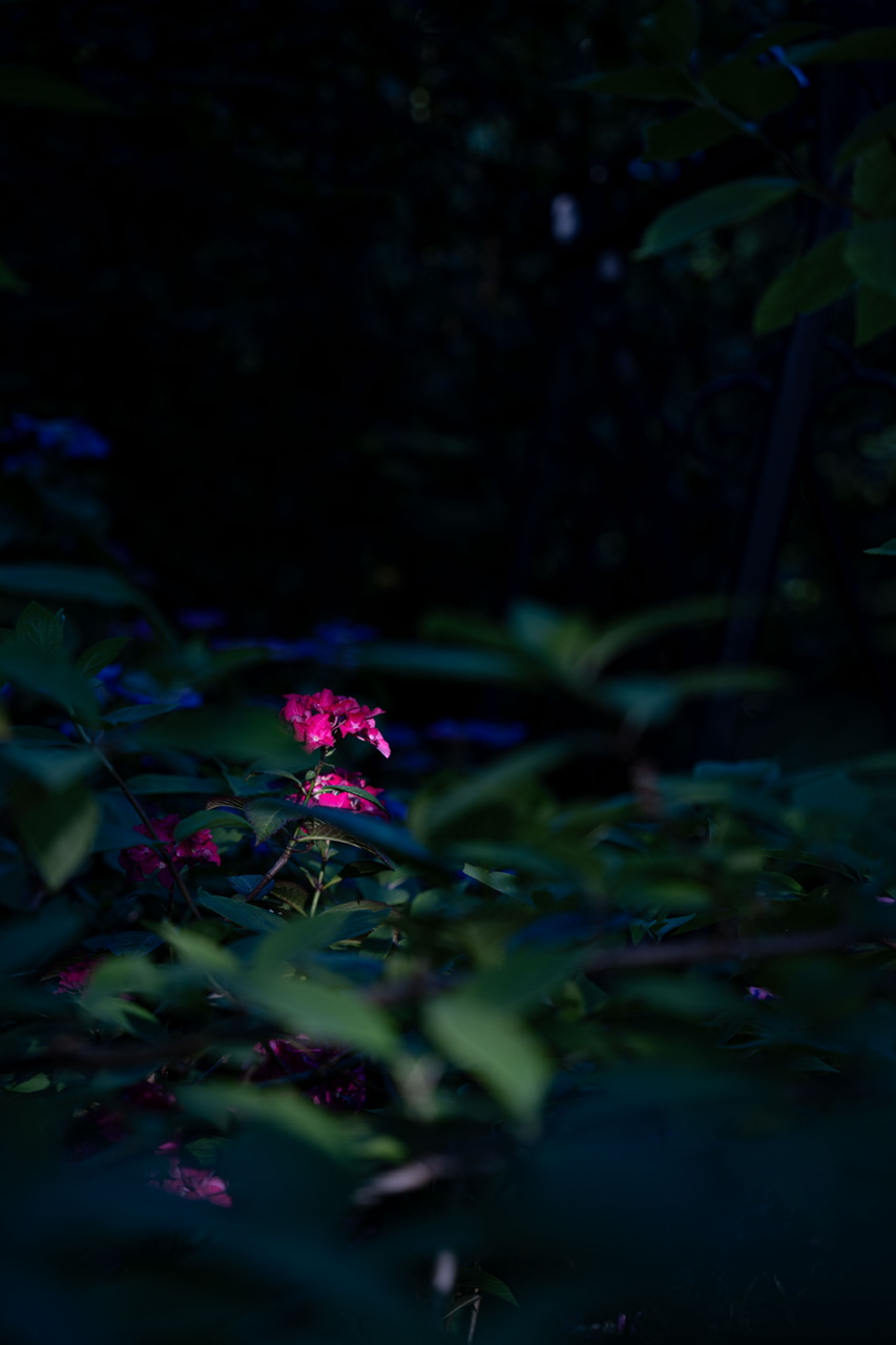 DSC04201.jpeg