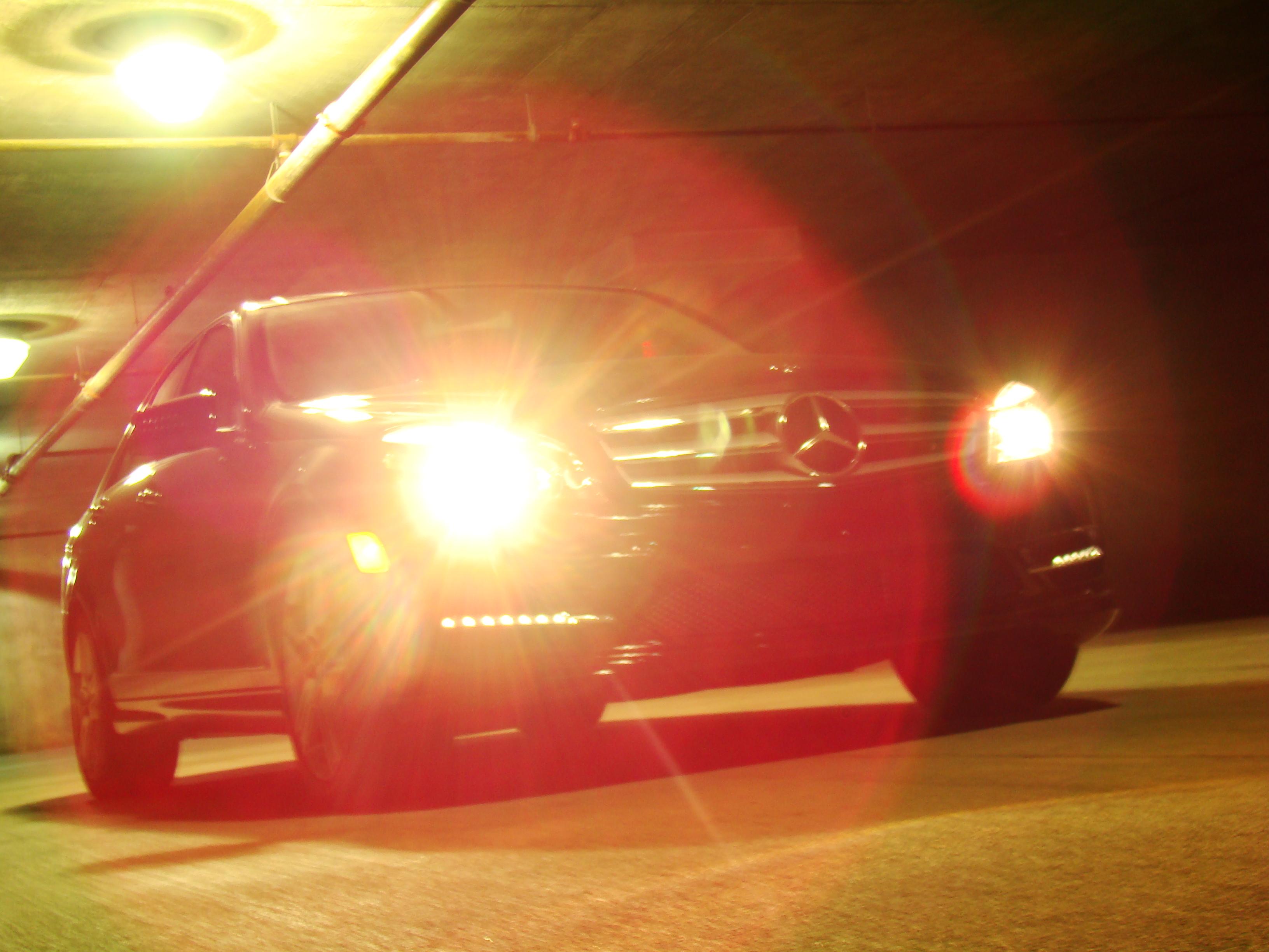 DSC07885_1.JPG