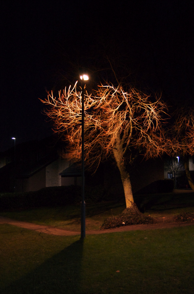 DSC_0006_2.jpg