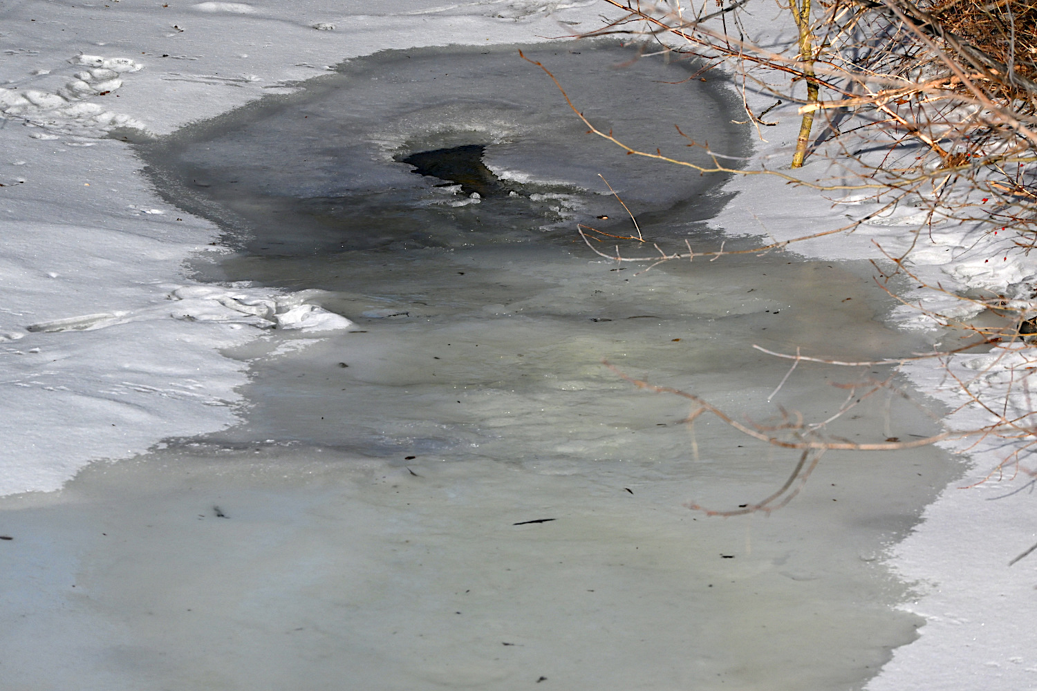 DSC_0019.jpg