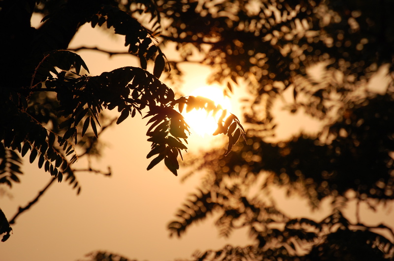 DSC_0027.jpg