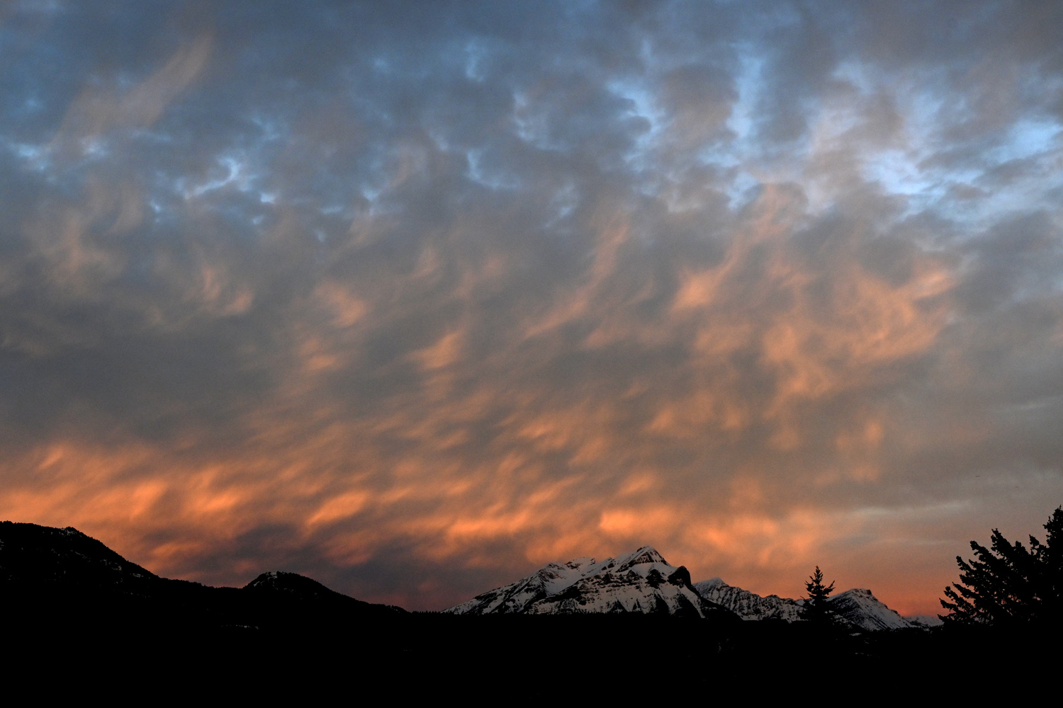 DSC_0030.jpg