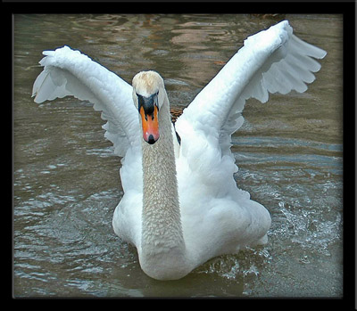 DSC_0042_edited-2 650x650_edited-2.jpg