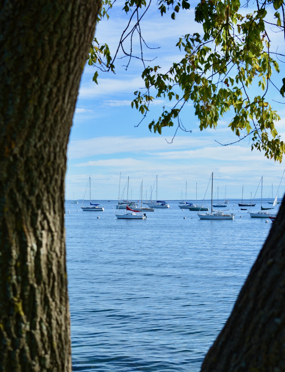 DSC_0043.jpeg