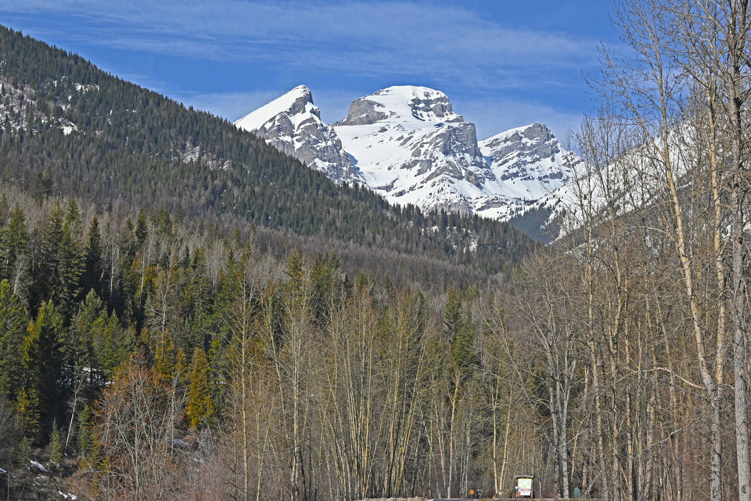 DSC_0044.jpg