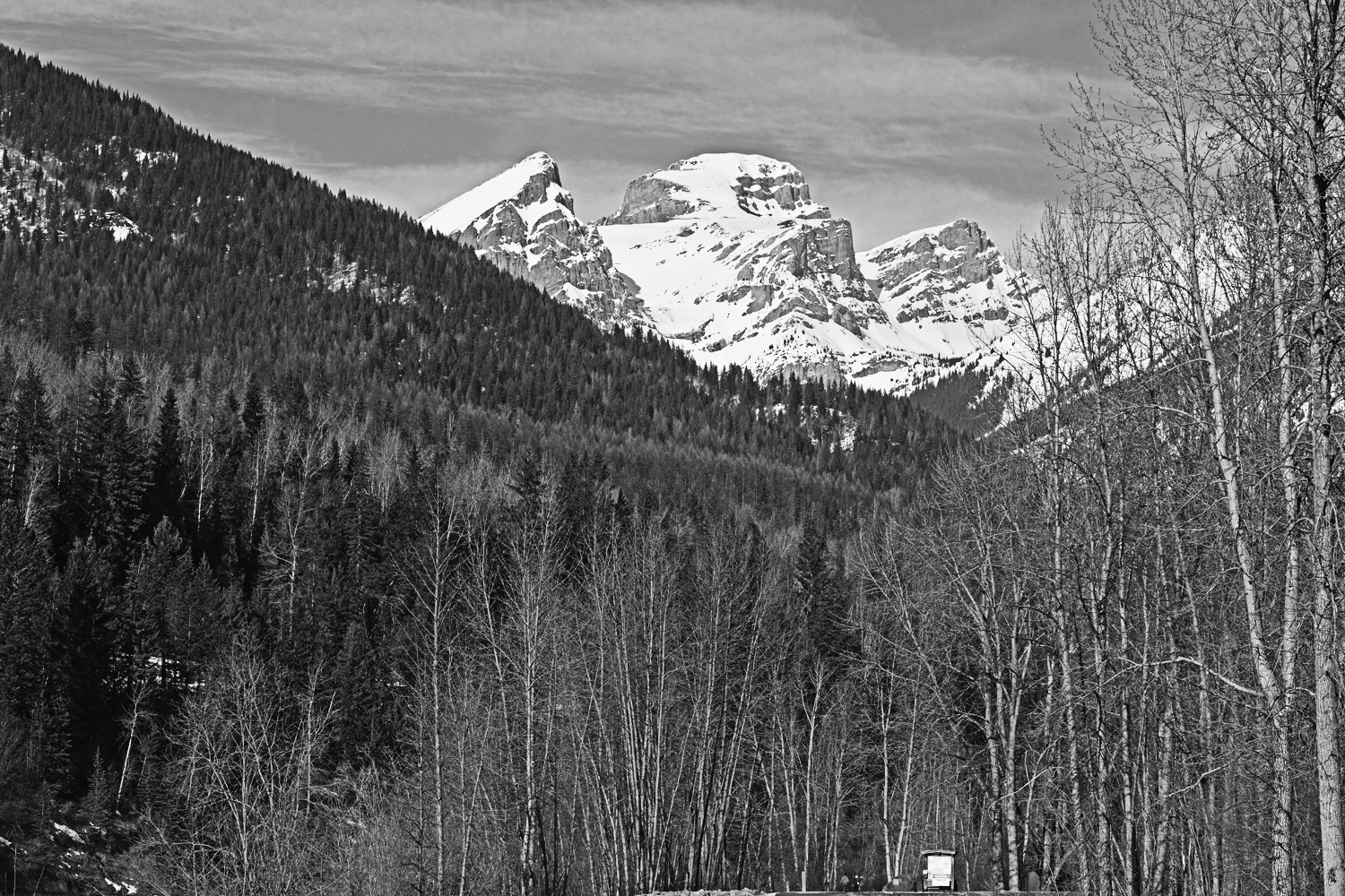 DSC_0044B2.jpg