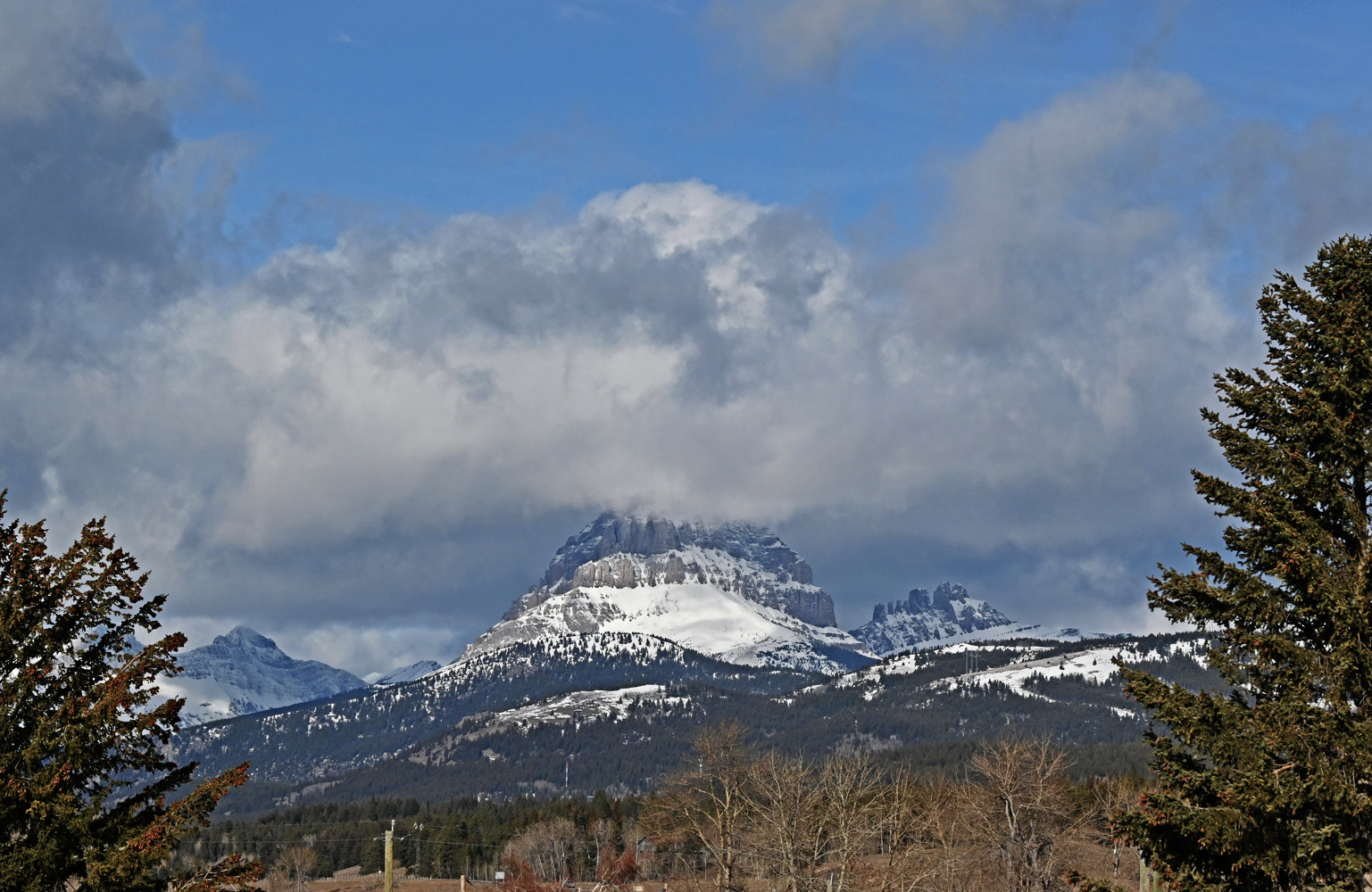 DSC_0045.jpg
