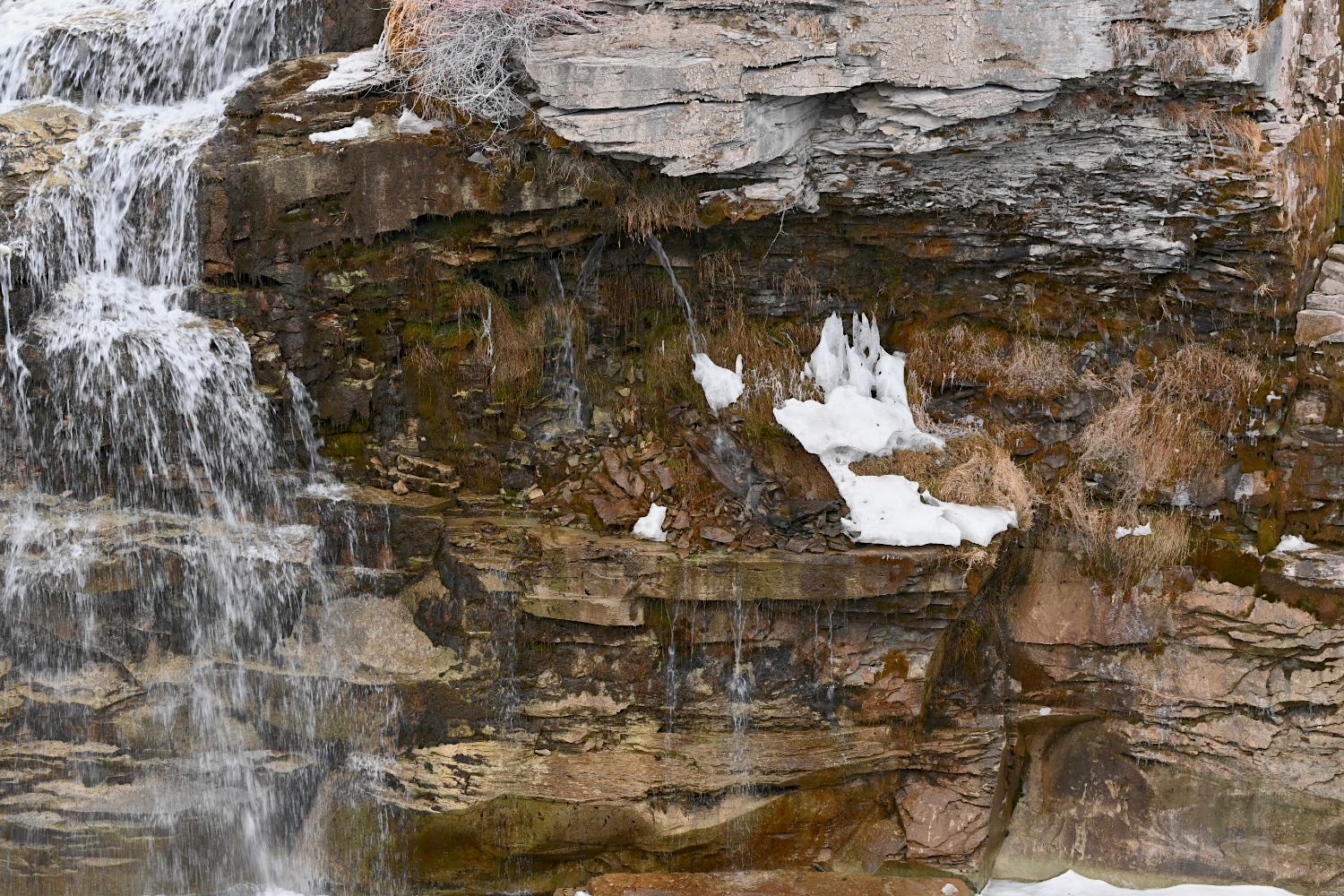 DSC_0047.jpg