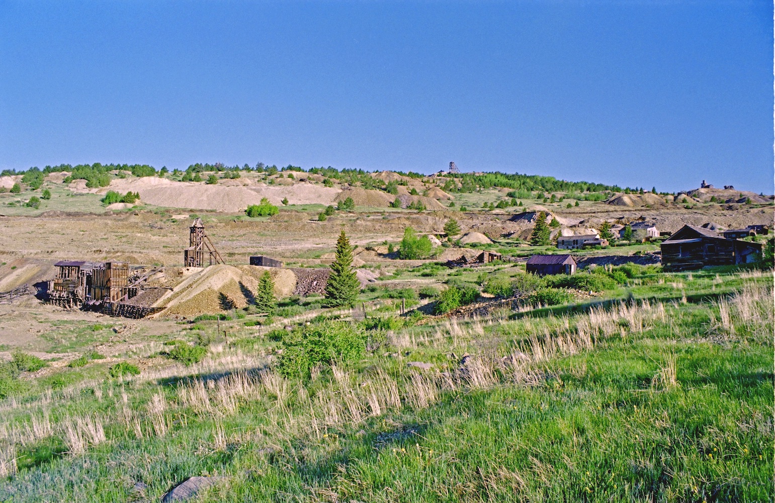 DSC_0051F1B.jpg
