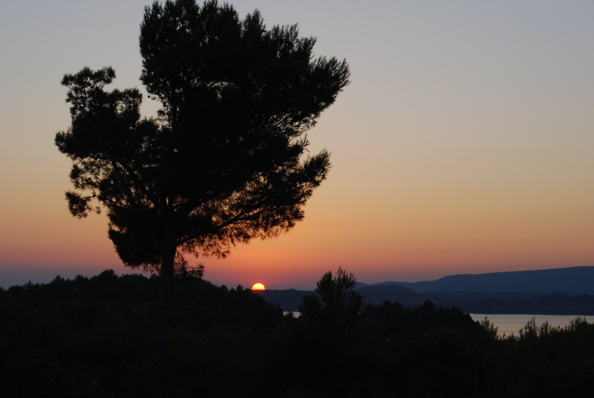 DSC_0056.JPG