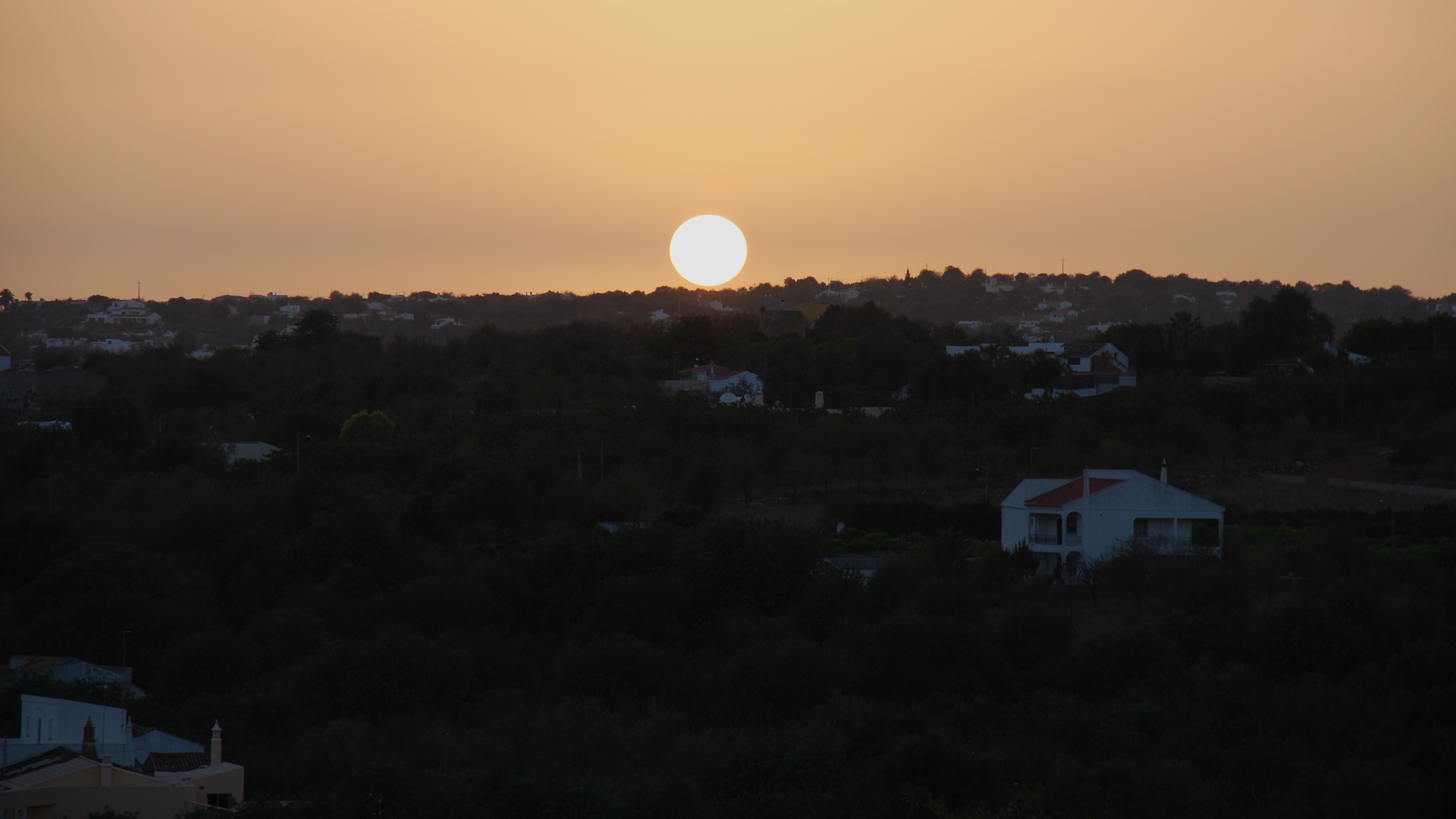 DSC_0062_1.jpg