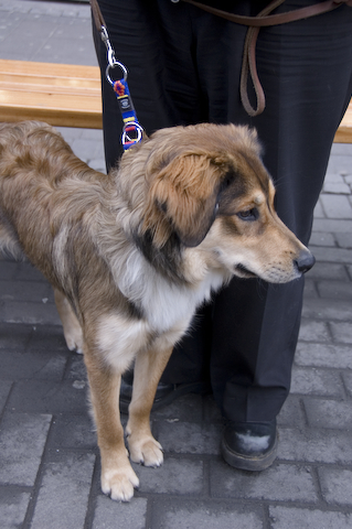 DSC_0076.jpg