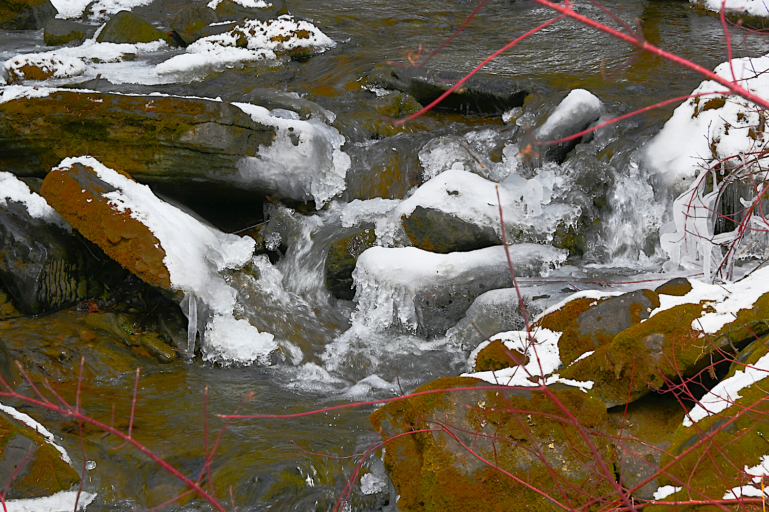 DSC_0078.jpg
