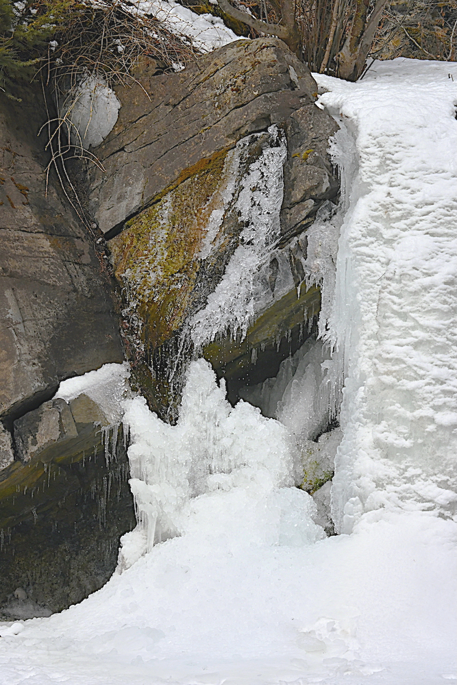 DSC_0081C.jpg