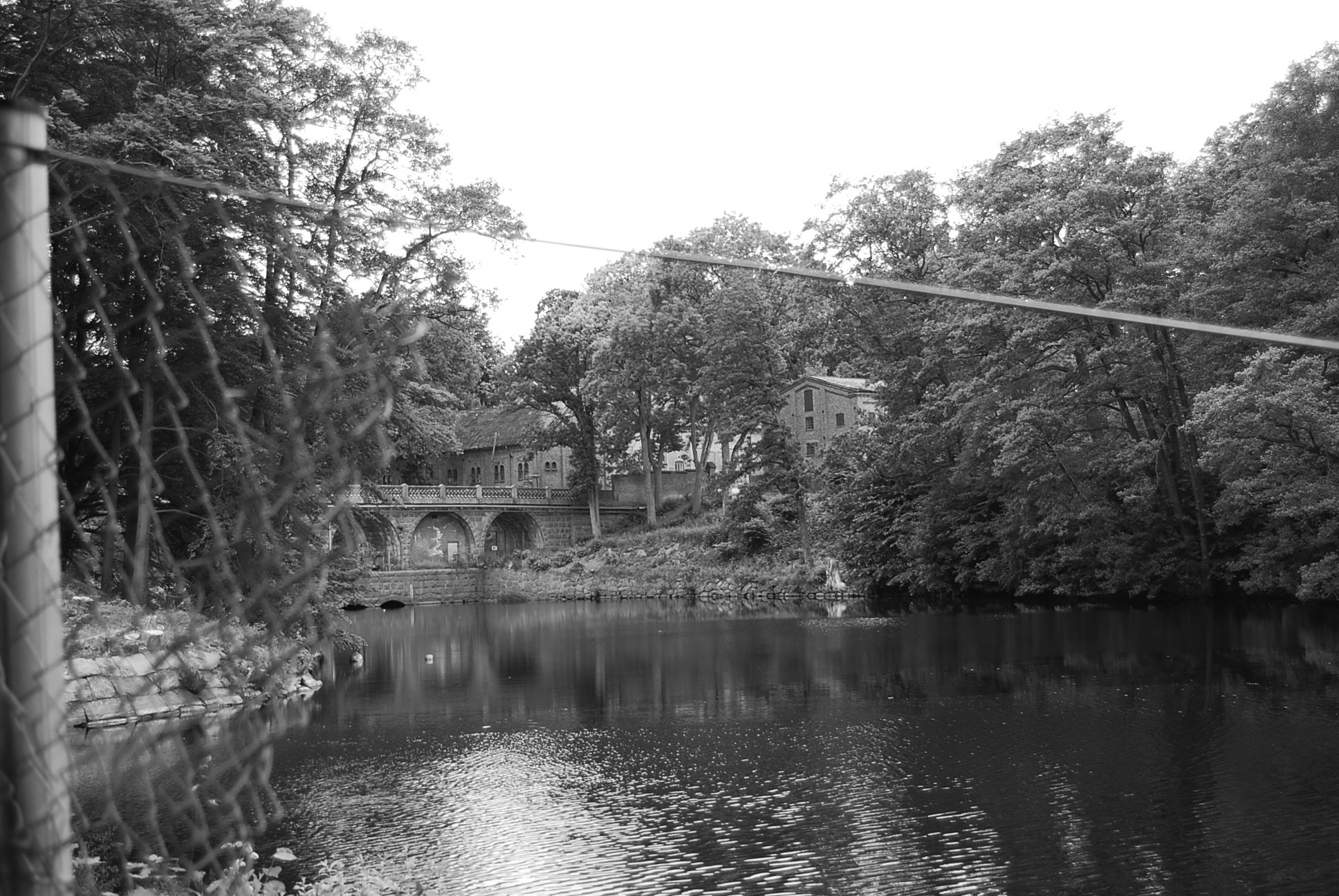 DSC_0091.JPG