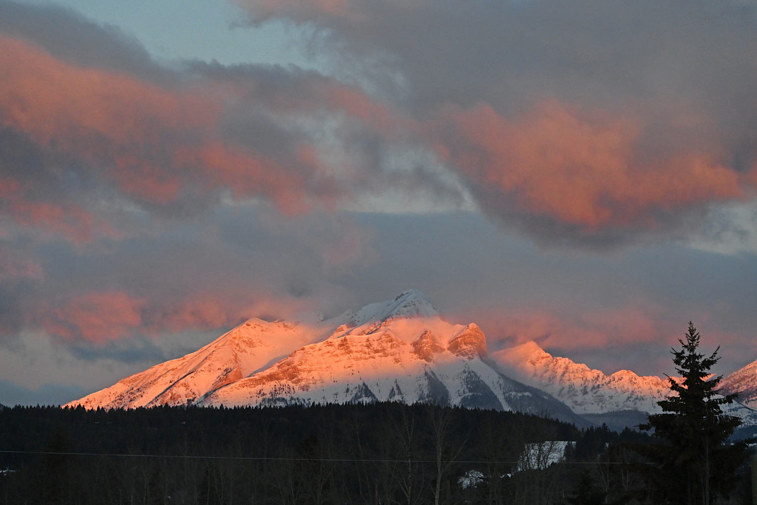 DSC_0091.jpg