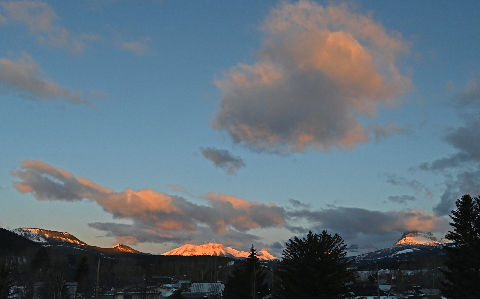 DSC_0096.jpg