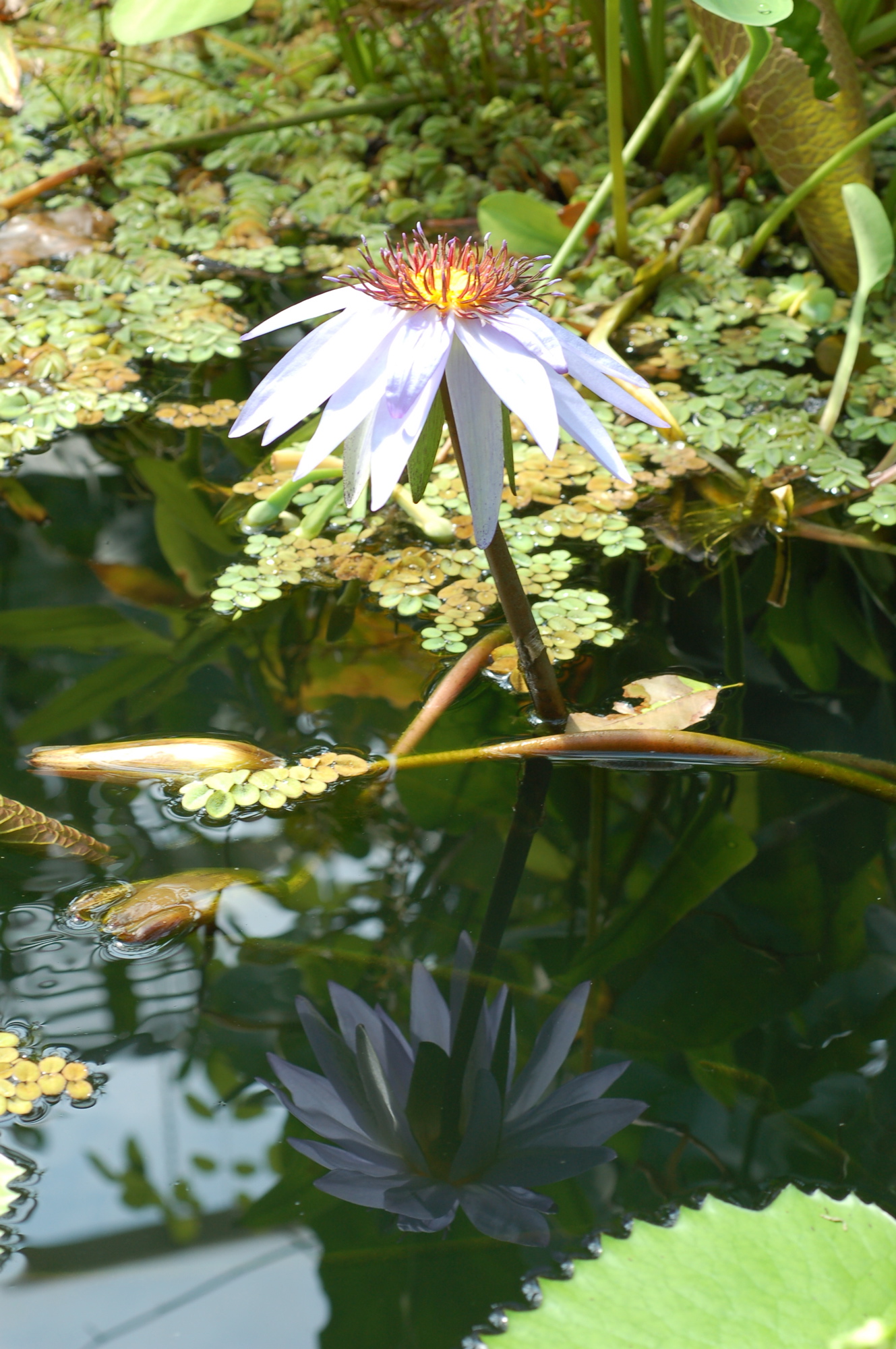 DSC_0097.jpg