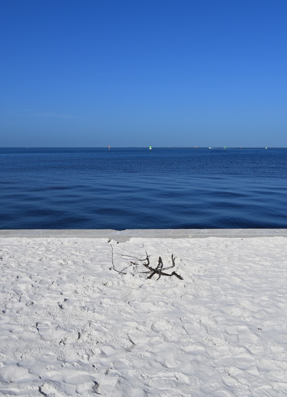 DSC_0107.jpeg