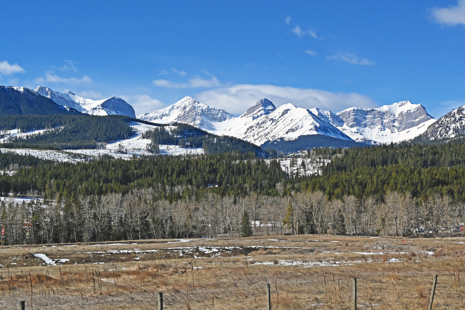DSC_0107.jpg