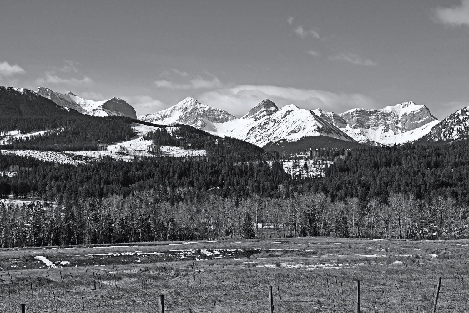 DSC_0107BW.jpg