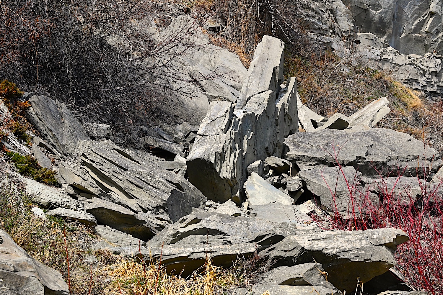 DSC_0113.jpg