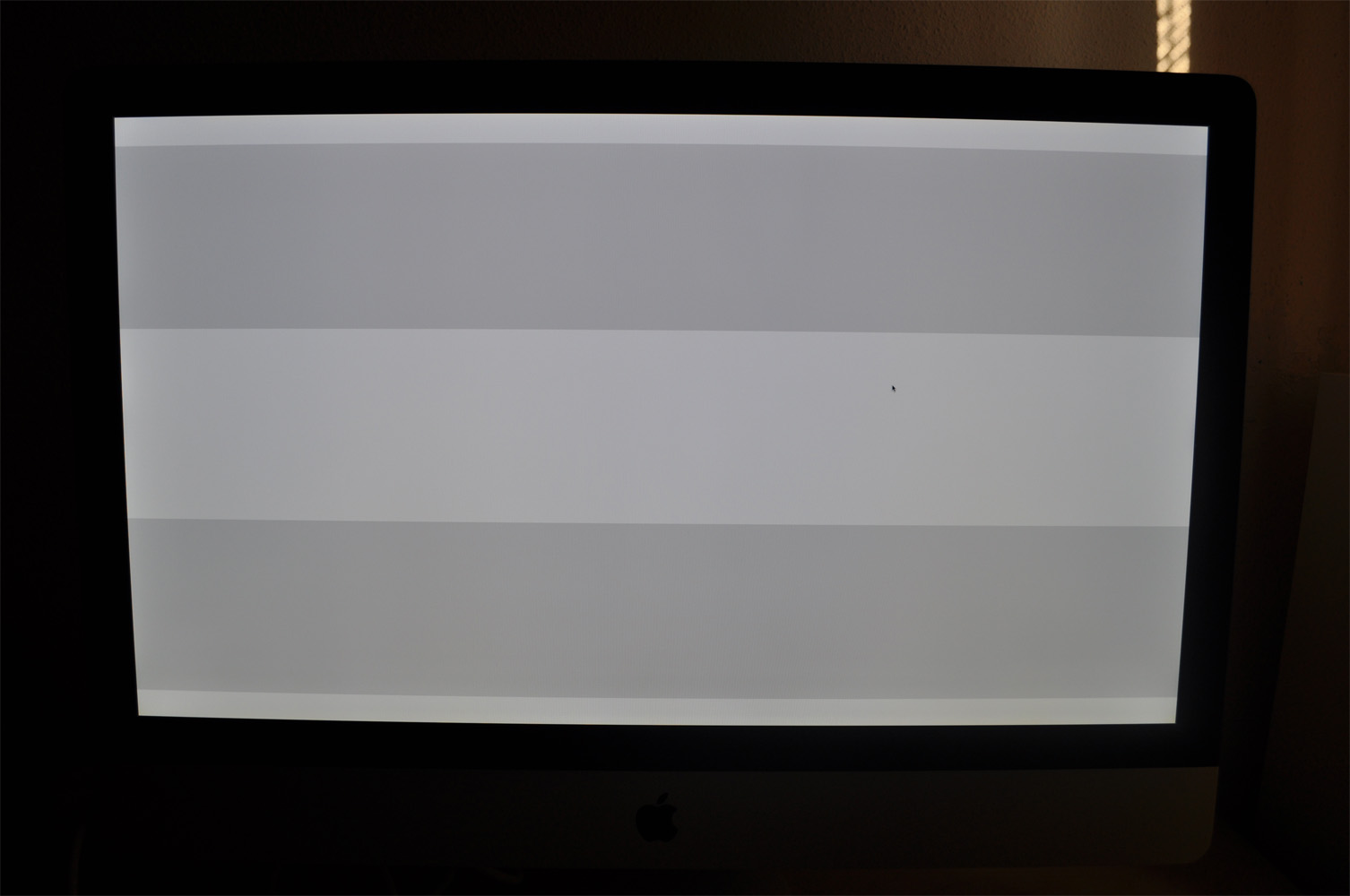 DSC_0124.JPG