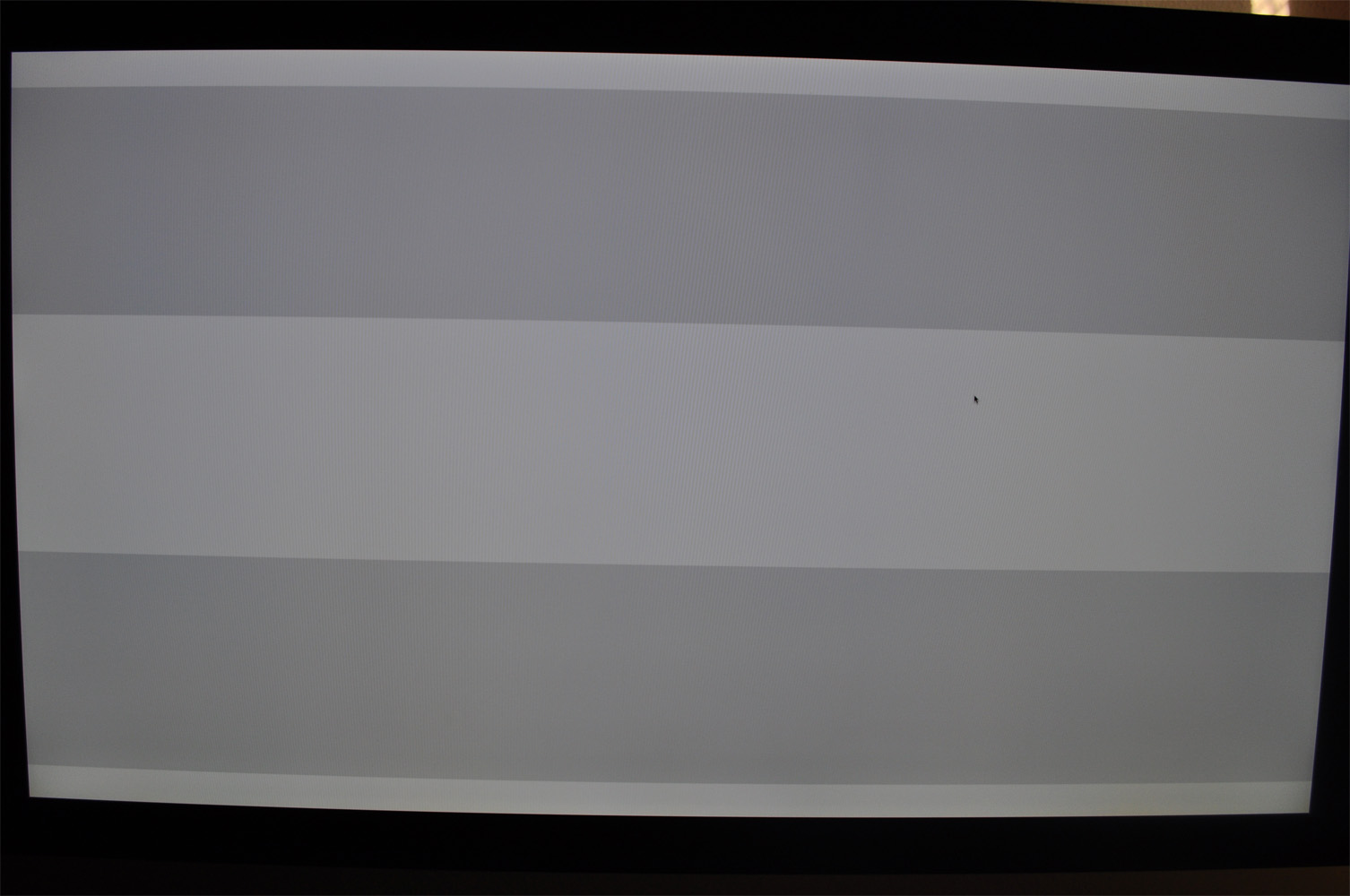 DSC_0126.JPG