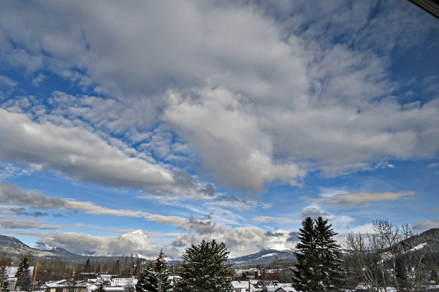 DSC_0127A.jpg