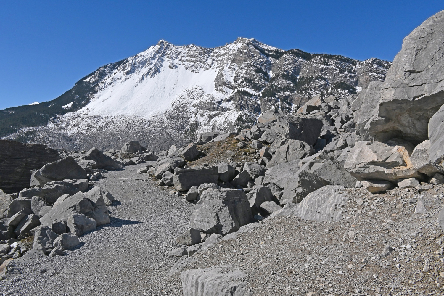 DSC_0136.jpg