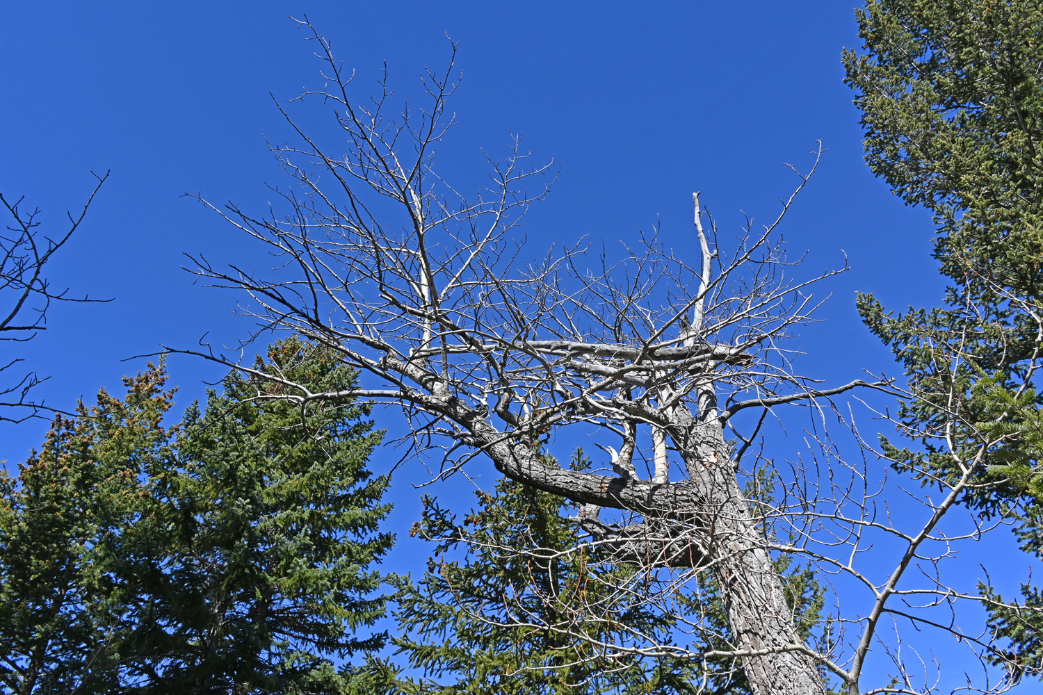 DSC_0140.jpg