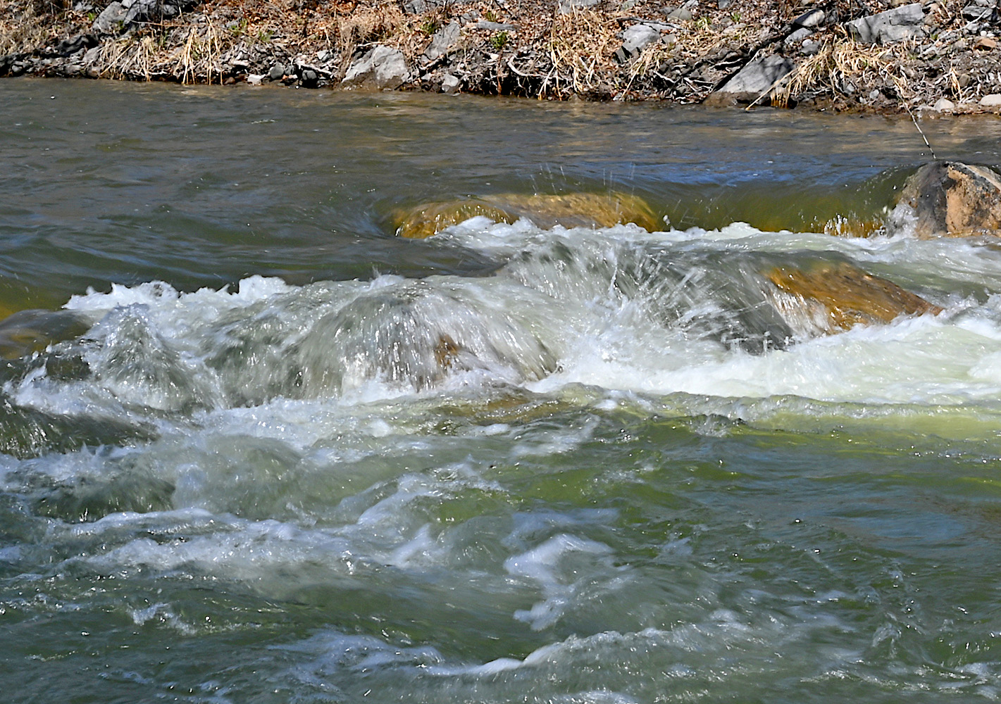 DSC_0140A.jpg