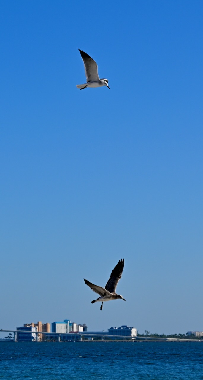 DSC_0142.jpeg